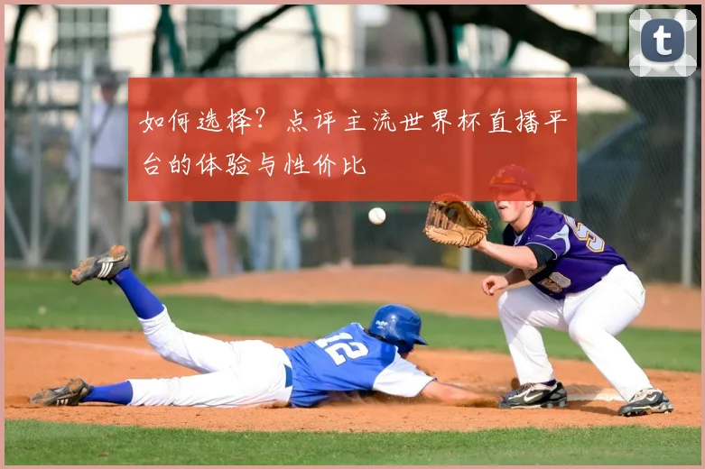 如何选择？点评主流世界杯直播平台的体验与性价比