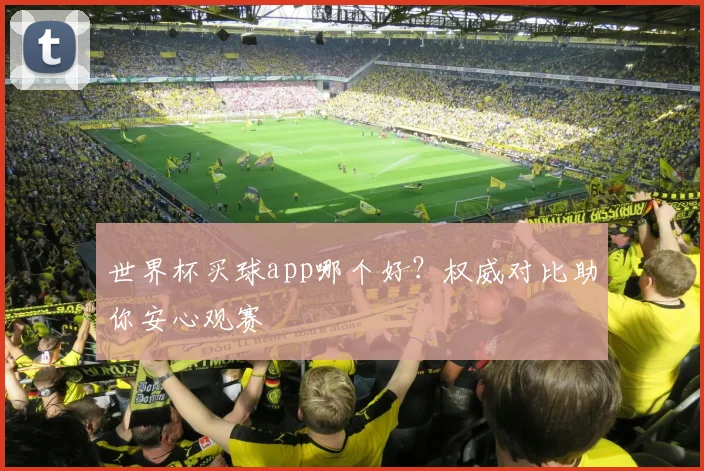 世界杯买球app哪个好？权威对比助你安心观赛
