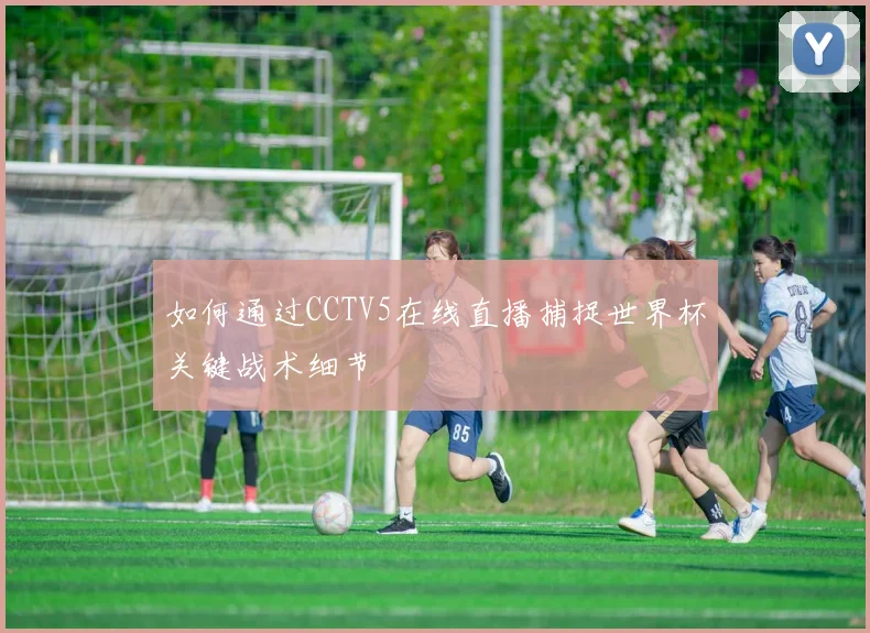 如何通过CCTV5在线直播捕捉世界杯关键战术细节