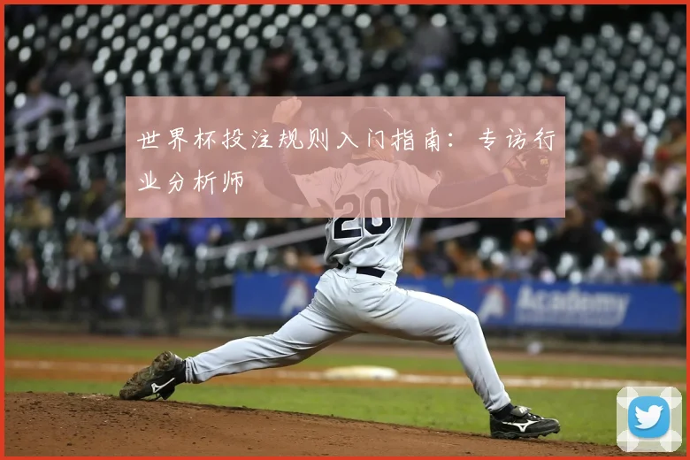 世界杯投注规则入门指南：专访行业分析师