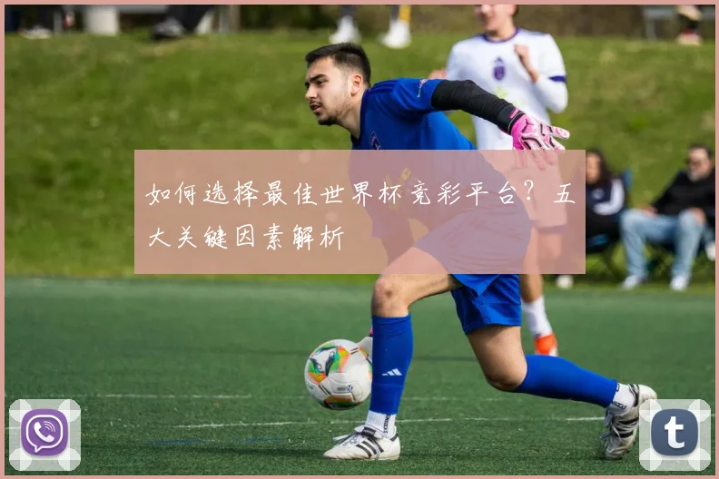 如何选择最佳世界杯竞彩平台？五大关键因素解析