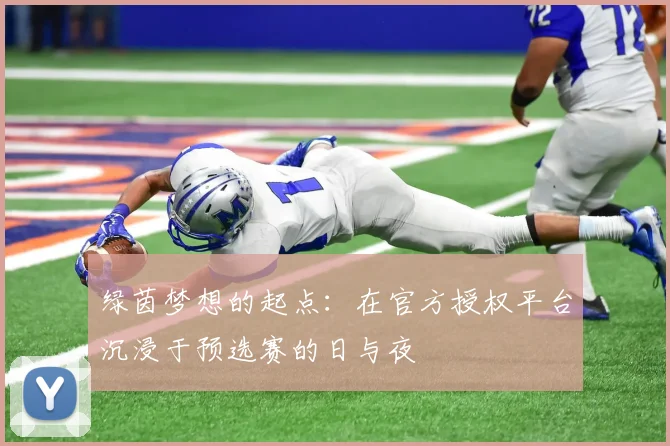 绿茵梦想的起点：在官方授权平台沉浸于预选赛的日与夜