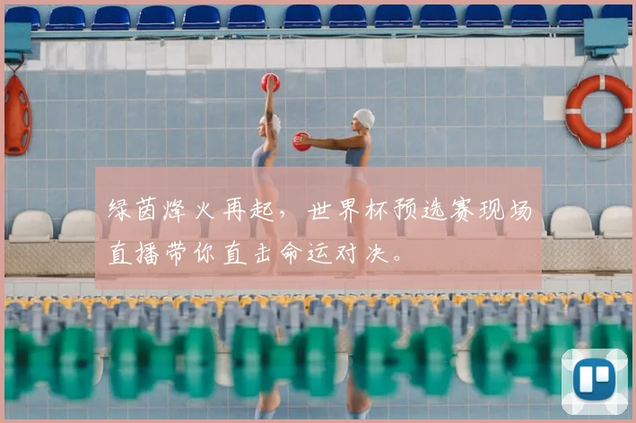 绿茵烽火再起，世界杯预选赛现场直播带你直击命运对决。