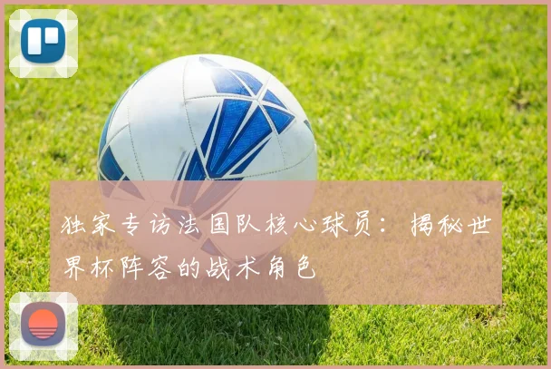 独家专访法国队核心球员：揭秘世界杯阵容的战术角色