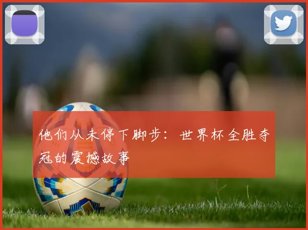 他们从未停下脚步：世界杯全胜夺冠的震撼故事