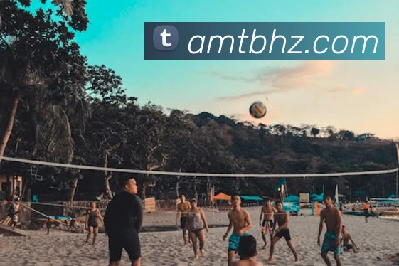 米兰体育app与米兰直播app对比平台生态图